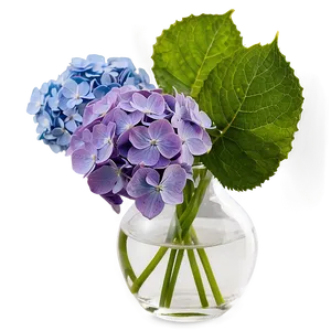 Hydrangea In Vase Png Igb60 PNG image