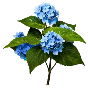 Hydrangea Mosaic Png 40 PNG image