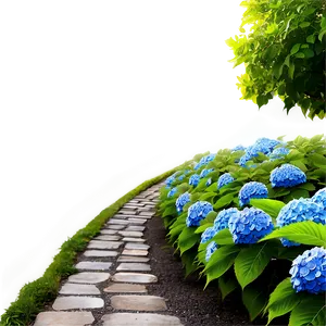 Hydrangea Path Png Ttc22 PNG image