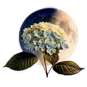 Hydrangea Under Moonlight Png Twm PNG image