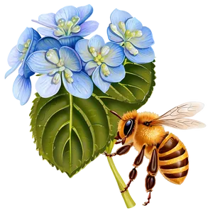Hydrangea With Bees Png 95 PNG image