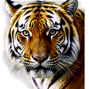 Hyper-realistic Tiger Face PNG Uhp32 PNG