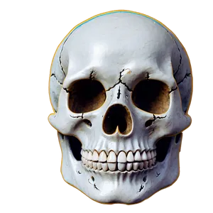 Hypnotic Skull Spin Png 42 PNG image