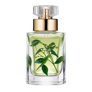 Hypoallergenic Perfume Png Qko80 PNG image