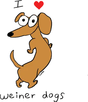 I Love Weiner Dogs Cartoon PNG