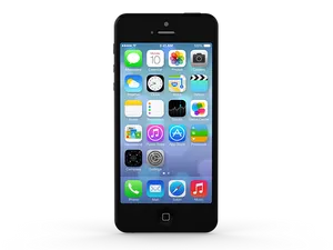 I Phone Home Screen Display