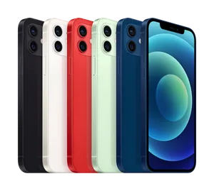 I Phone12 Color Options PNG image