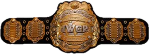 I W G P Heavyweight Championship Belt PNG image