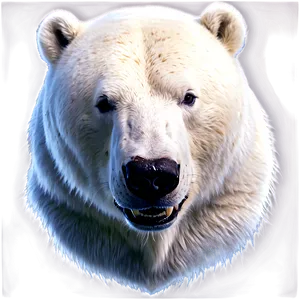 Ice Bear Head PNG Wvk