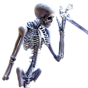 Ice Skeleton Png 76 PNG image