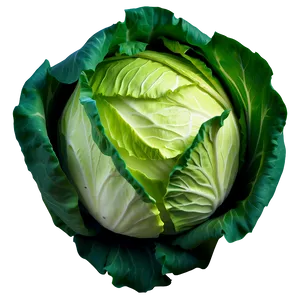 Iceberg Lettuce Png 33 PNG image