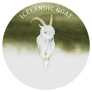 Icelandic Goat Illustration PNG image