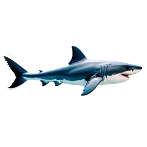 Iconic Great White Shark Png 6 PNG image