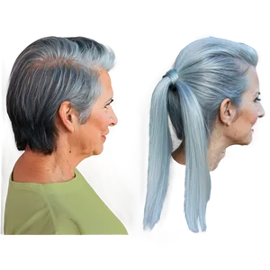 Iconic Grey Hair Looks PNG 34 PNG
