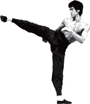 Iconic Martial Artist High Kick PNG image
