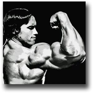 Iconic Muscle Display Arnold PNG image