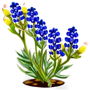 Iconic Texas Bluebonnet Png 06272024 PNG image