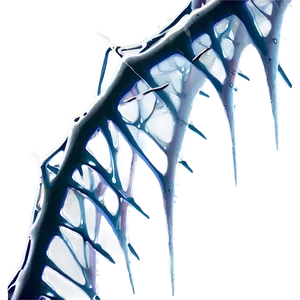 Icy Spider Web Closeup