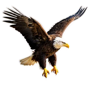 Idaho Bald Eagle Flight Png Psk30 PNG image