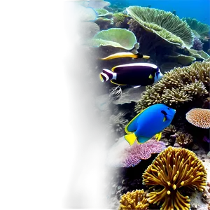 Idyllic Coral Reef Escape PNG Mhu64 PNG