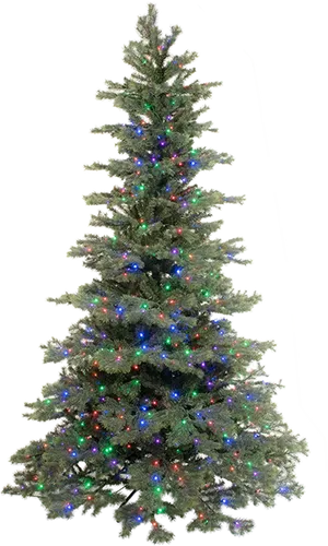 Illuminated Christmas Tree.png PNG
