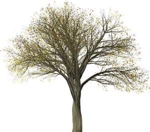Illuminated Tree Against Night Sky