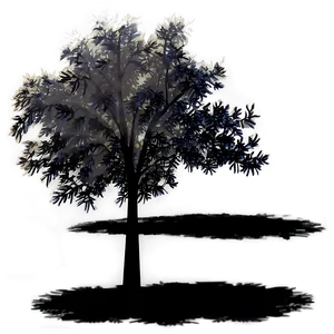 Illuminated Tree Shadow PNG Cjl