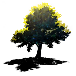 Illuminated Tree Shadow PNG Gxf