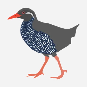 Illustrated Blue Feathered Bird