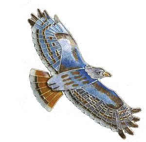 Illustrated Blue Hawkin Flight PNG image