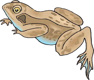 Illustrated Brown Frog Graphic PNG image