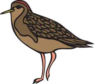 Illustrated Brown Shorebird PNG image