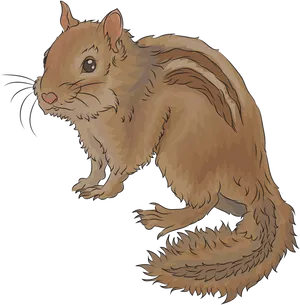 Illustrated Brown Squirrel
