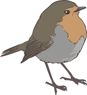 Illustrated Brownand Orange Bird
