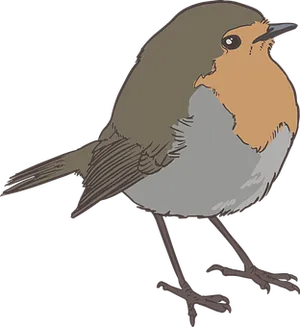 Illustrated Brownand Orange Bird PNG image