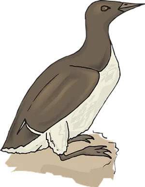 Illustrated Brownand White Bird