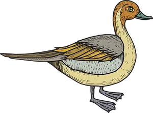 Illustrated Duck Side View