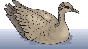 Illustrated Duckon Water