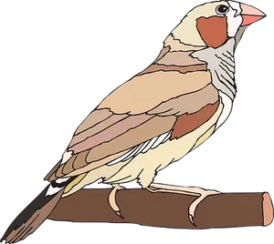 Illustrated Finchon Branch