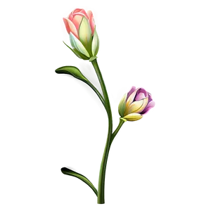 Illustrated Flower Stem PNG 91