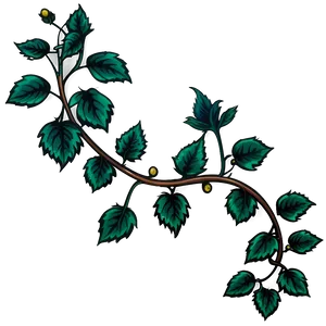 Illustrated Green Vinewith Berries PNG image
