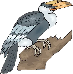 Illustrated Hornbill Perchedon Branch
