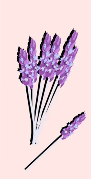 Illustrated Lavender Bouquet PNG image