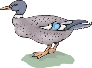 Illustrated Mallard Duck Standing