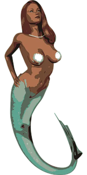 Illustrated Mermaid Artwork PNG image