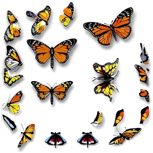 Illustrated Monarch Butterflies PNG 20