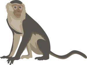 Illustrated Monkey Graphic PNG image