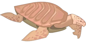 Illustrated Sea Turtle Graphic PNG image