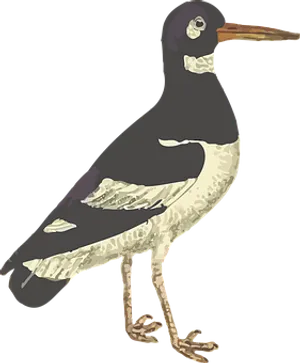 Illustrated Seabird Standing