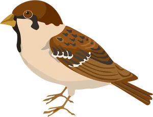 Illustrated Sparrow Profile PNG image